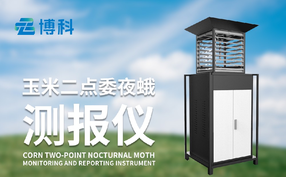 玉米二點(diǎn)委夜蛾的危害性和治理手段，玉米二點(diǎn)委夜蛾監(jiān)測(cè)儀